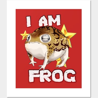 I am frog (Breviceps macrops edition) Posters and Art